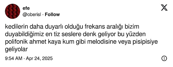 Bilimsel açıklama da...