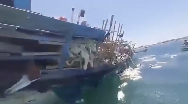 Hayvanların taşınmasında görev alan araçların, bu hassas işlemi dikkat ve özenle gerçekleştirmesi büyük önem taşır.