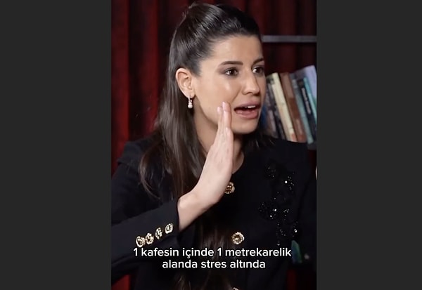 Hatice Nur Ege, kendi köyündeki tavuklardan örnek vererek tavuktaki hileyi de anlattı.