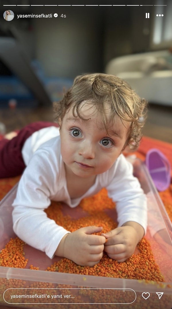Yasemin Tatlıses