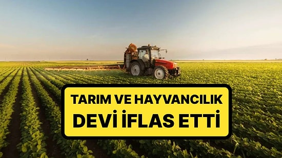 Konkordato Talebi Kabul Edilmedi: Tarım ve Hayvancılık Devi İflas Etti