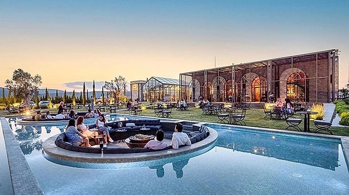 Top Wine Houses in Izmir for a Memorable Tasting Experience