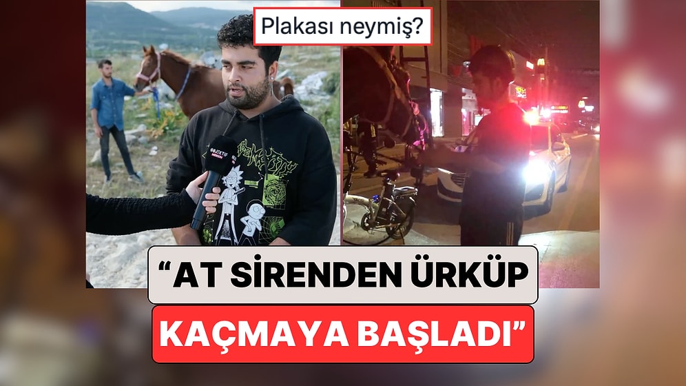 Mersin'de Fıkra Gibi Olay: Atı ile Gezen Gence "Alkollü Araç Kullanmaktan" Ceza Yazıldı