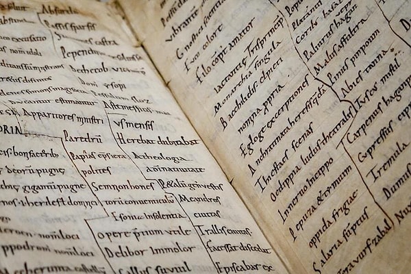 Latince tıpta nasıl başrolü kaptı? Görseli