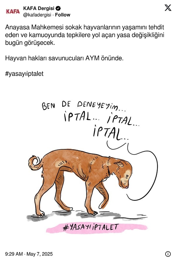 👇