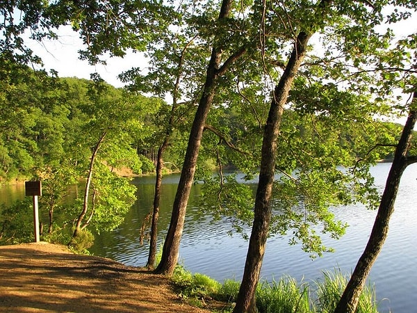 9. Taşdelen Recreation Area - Çekmeköy (Large Area Full of Activities)