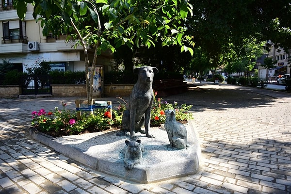 Tommy: Fenerbahçe's Cat-Friendly Dog
