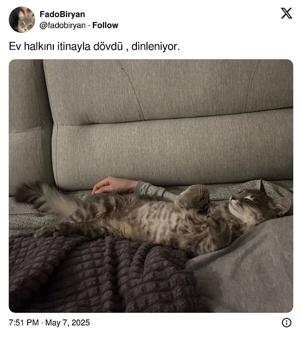 👇