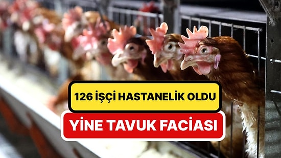 Yine Tavuk Yine Zehirlenme: 126 İşçi Hastanelik Oldu