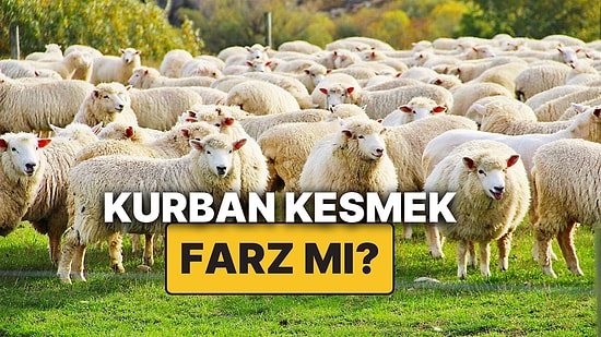 Kurban Kesmek Farz mıdır? Kimler Kurban Kesmekle Yükümlüdür, Şartları ve Dinen Hükmü Nedir?