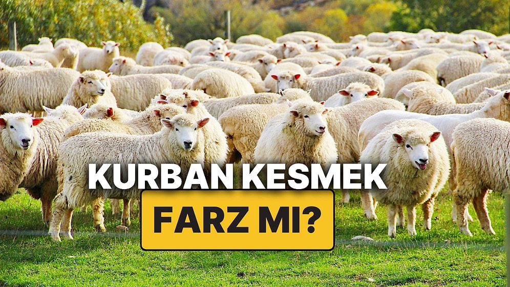 Kurban Kesmek Farz mıdır? Kimler Kurban Kesmekle Yükümlüdür, Şartları ve Dinen Hükmü Nedir?