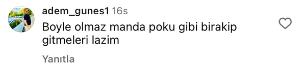 👇