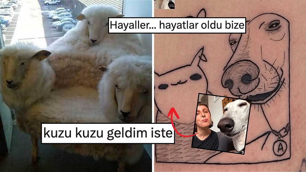 Hangi Kafayla Yapıldıklarını Anlayamasak da Görenlerin Gözlerini Kanatmaya Ant İçmiş 13 Tasarım