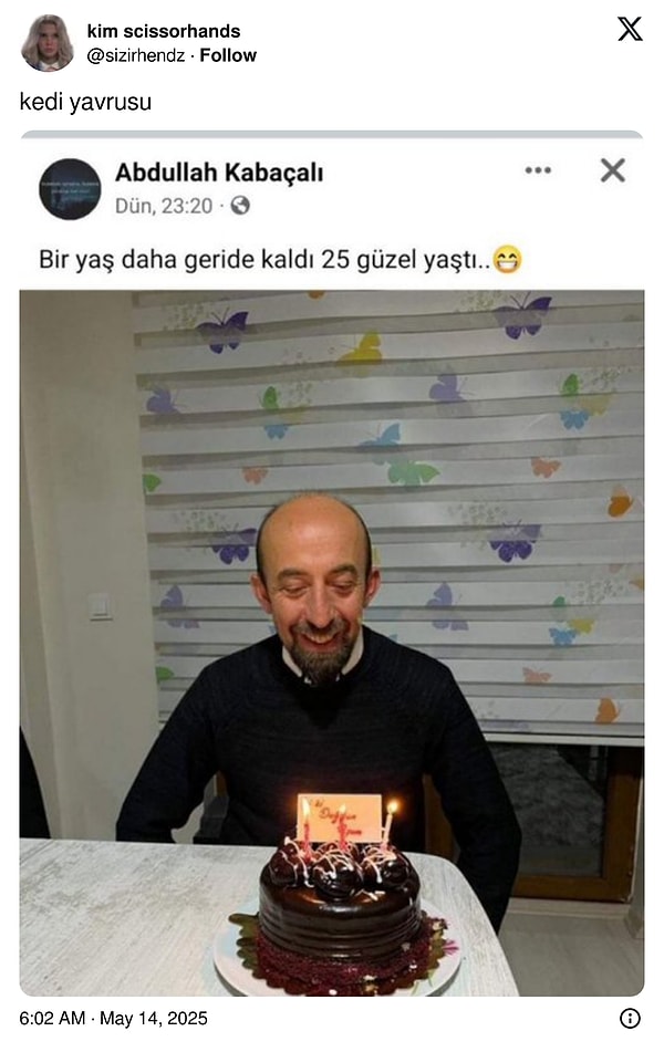Kedinin yavru olduğuna ikna olamayanlar ise böyle tepkiler verdi; Görseli