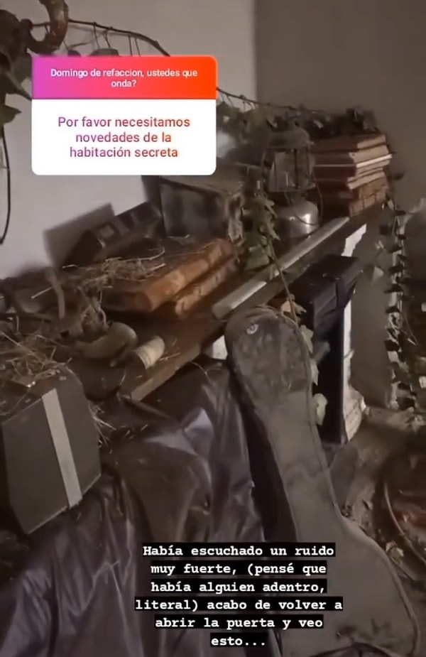 Medyuma gidip olayın aslını öğrenmeye çalışan Ali, “Adelina” isimli bir kadına ait olduğu iddia edilen bir günlük buldu.