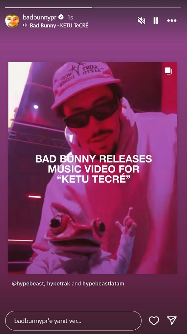 Slechte Bunny