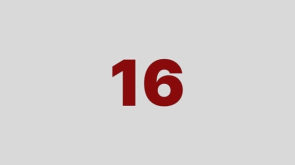 2. 16 numaralı plaka aşağıdaki illerden hangisine aittir?