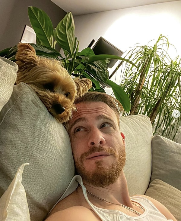Kerem Bürsin Ödülleri ve Adaylıkları