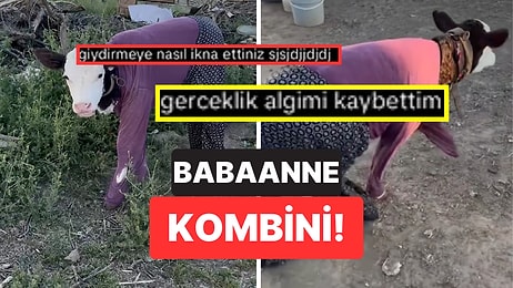 Babaanne Kombiniyle Gezen İneğin O Anları Gözlerden Kalp Çıkarttı