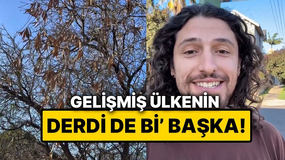 Gelişmiş Ülke Derdi: Avustralya’da Yaşayan Türk, Ağaç Kuruduğu İçin Basında Kıyametin Koptuğunu Anlattı
