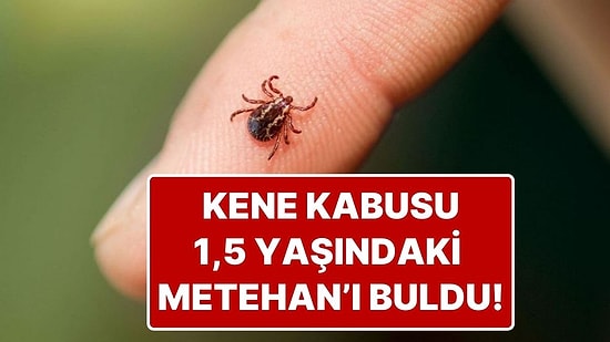 Kene, 1,5 Yaşındaki Bebeğe Yapıştı: Metehan Bebek Hayatını Kaybetti!