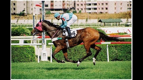 Triple Crown bir diğer adıyla ''Üçlü Taç'' Türk yarışçılığının en büyük başarılarından birisi olarak görülüyor. Görseli