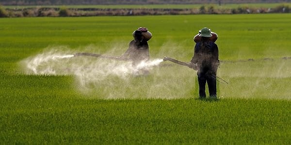 Pestisitler, insan sağlığını ciddi anlamda tehdit ediyor. Görseli