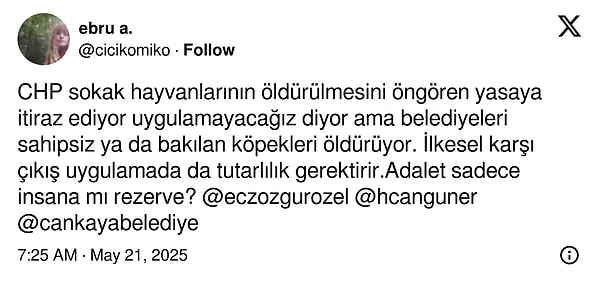 Hayvanseverler Çankaya Belediyesi ve CHP yönetimine tepkiliydi.