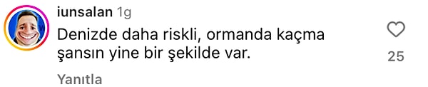 👇