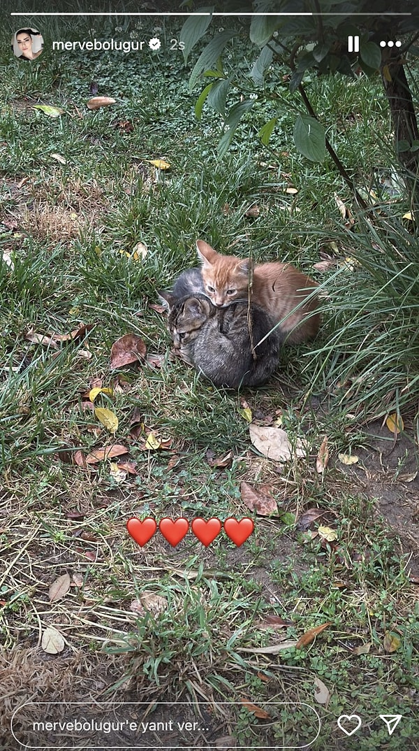 Merve Boluğur