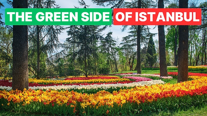 Peaceful Green Spaces in Istanbul: Best Urban Forests and Groves