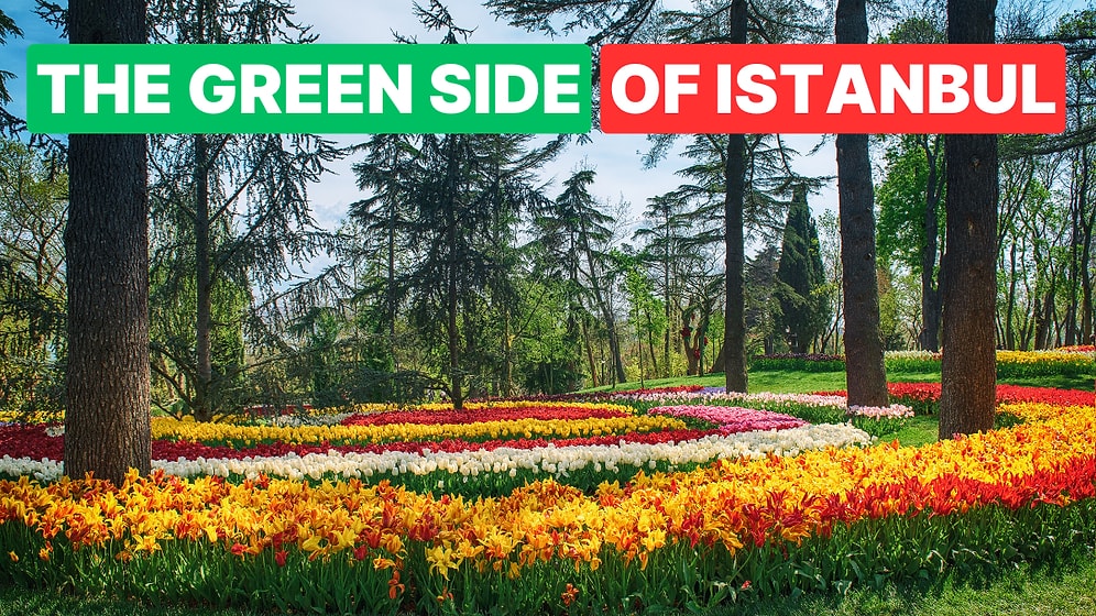 Peaceful Green Spaces in Istanbul: Best Urban Forests and Groves