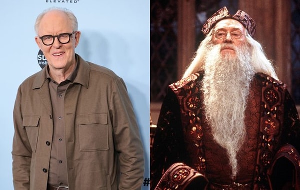 Harry Potter Dizisi Yayın Platformu