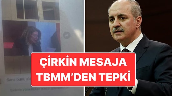 İYİ Partili Vekil "Sana Bunu Alacağım" Demişti: TBMM’den Asu Kaya Tepkisi