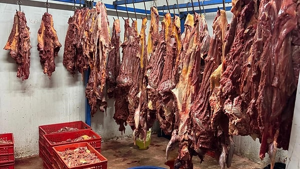 Düzenlenen operasyonda kesimi yapılmış ve başlarından ayrılmış yaklaşık 2 ton 500 kilogram ağırlığında 6 adet tek tırnaklı hayvan eti ele geçirildi.