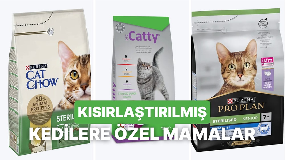 Kısırlaştırılan Kediniz İçin En Sağlıklı 10 Mama Çeşidi