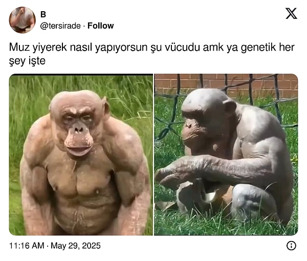 Protein tozu bile yok.