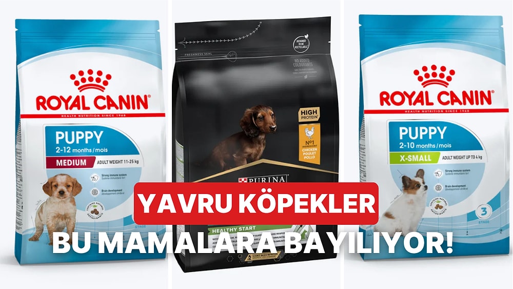 Onların Bakımı Çok Daha Özellikli! Yavru Köpeklere Özel 10 Mama