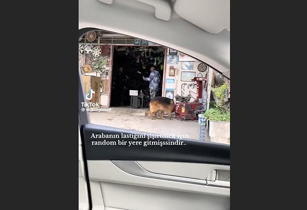 O görüntüler pek çok kişiye, Athena grubunun solisti Gökhan Özoğuz'un basşrollerinde yer aldığı "Kendi Yolumda" isimli filmi hatırlattı.