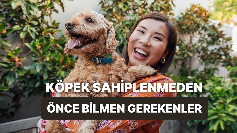 İlk Kez Köpek Sahipleneceklerin Her Şeyi Öğrenmesini Sağlayacak Mini Rehber