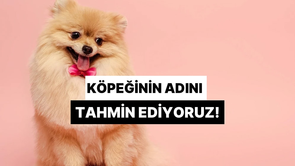 Köpeğinin Adını Tahmin Ediyoruz!