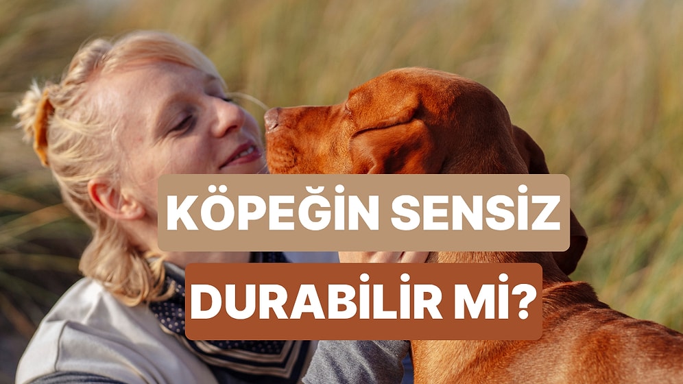 Köpeğin Sensiz Ne Kadar Durabilir?