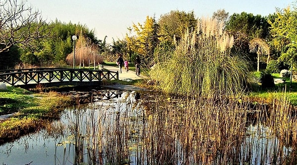 A Nature Experience Intertwined with History