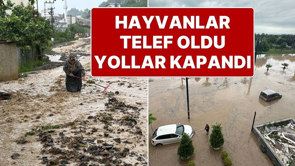 Trabzon&apos;da Sağanak Yağmur Hayatı Felç Etti: Yollar Göle Döndü, Karadeniz Sahil Yolu Kapandı