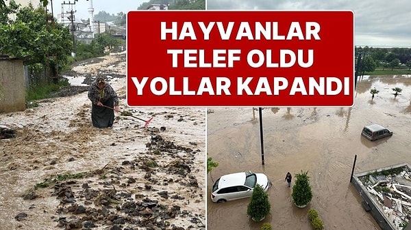 Kapak Görseli
