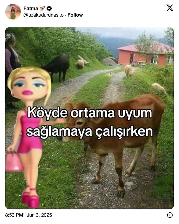 👇