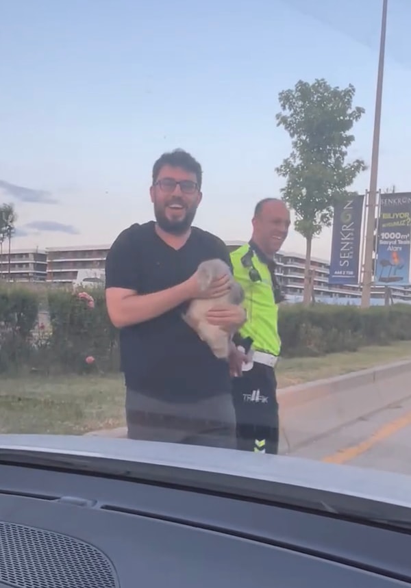 Otoyolda ördeğin ne işi var? Görseli