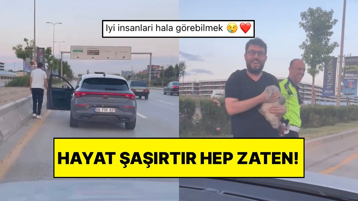Otoyolda Ördeğin Ne işi Var? Vatandaşlar Ankara’da Trafikte Karşılaştıkları Yavru Ördek İçin Seferber Oldu