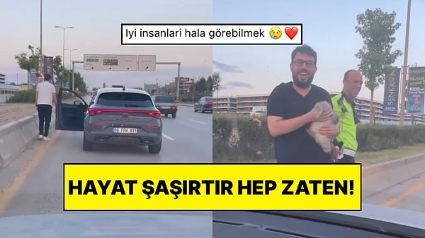 Kapak Görseli