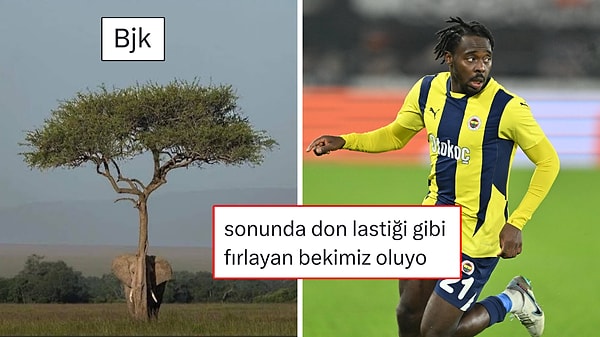 Kapak Görseli